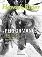 Horse & Rider